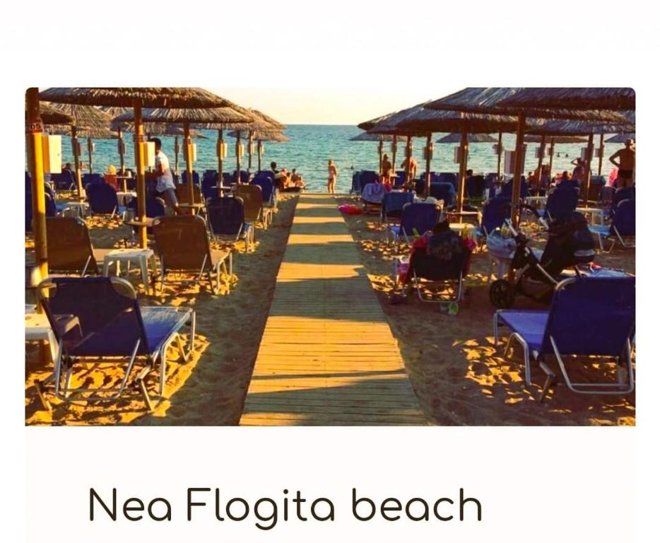 Φωτογραφία από το άλμπουμ του Francesco's Apartment-Chalkidiki στα Φλογητά