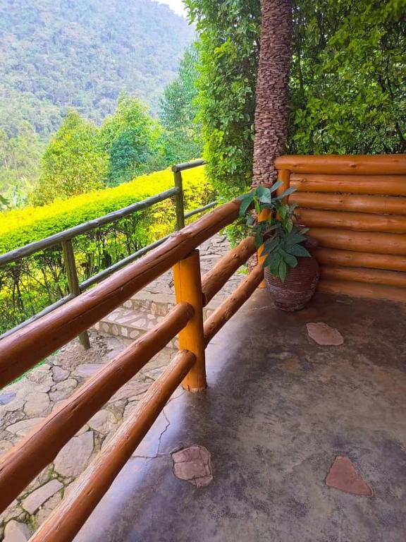 Balkón nebo terasa v ubytování Bwindi Forest Lodge