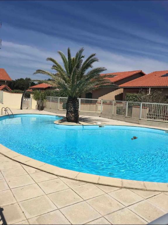 une piscine bleue avec un palmier en face d'une maison dans l'établissement Villa patio Capbreton, à Capbreton