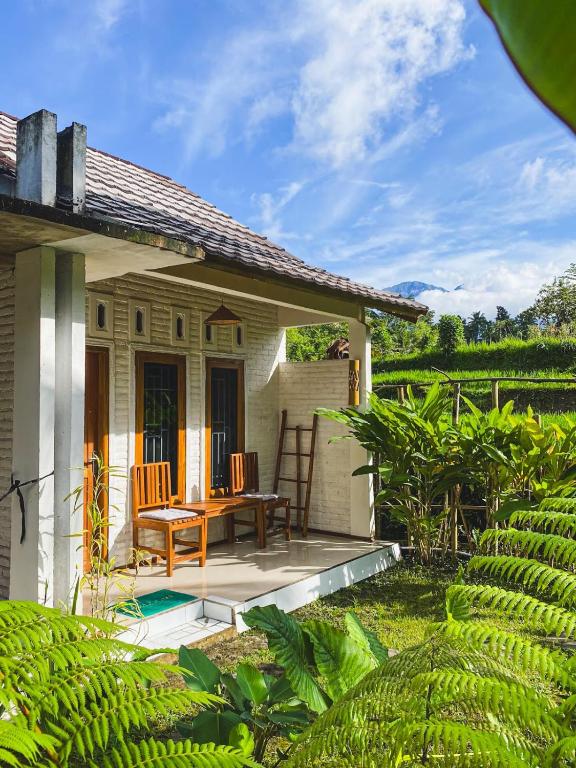 Zahrada ubytování Sarang Walet Homestay