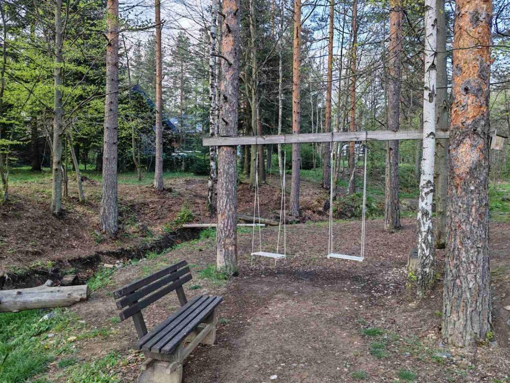 Zahrada ubytování Angelika apartman Divčigora