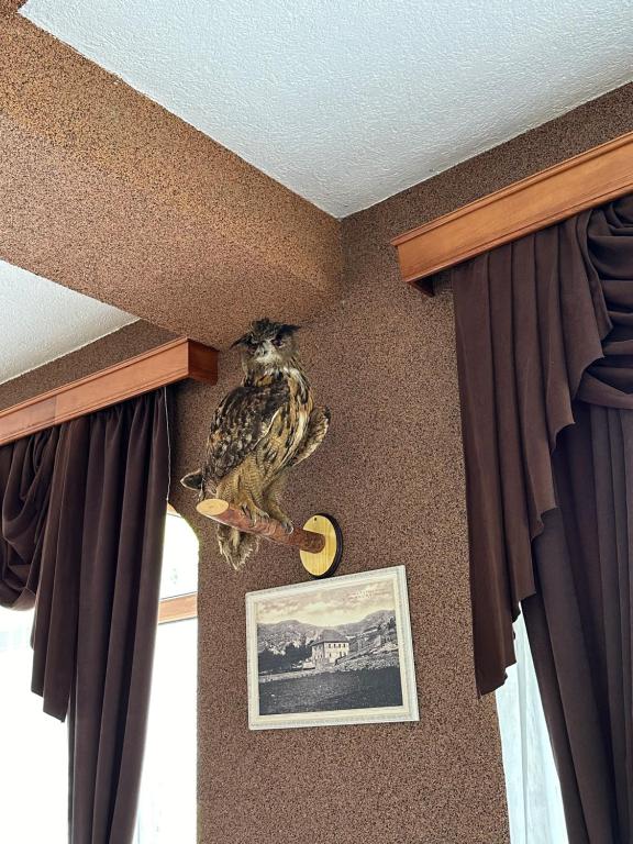 Fotografie z fotogalerie ubytování Hotel Monte Rosa v destinaci Cetinje