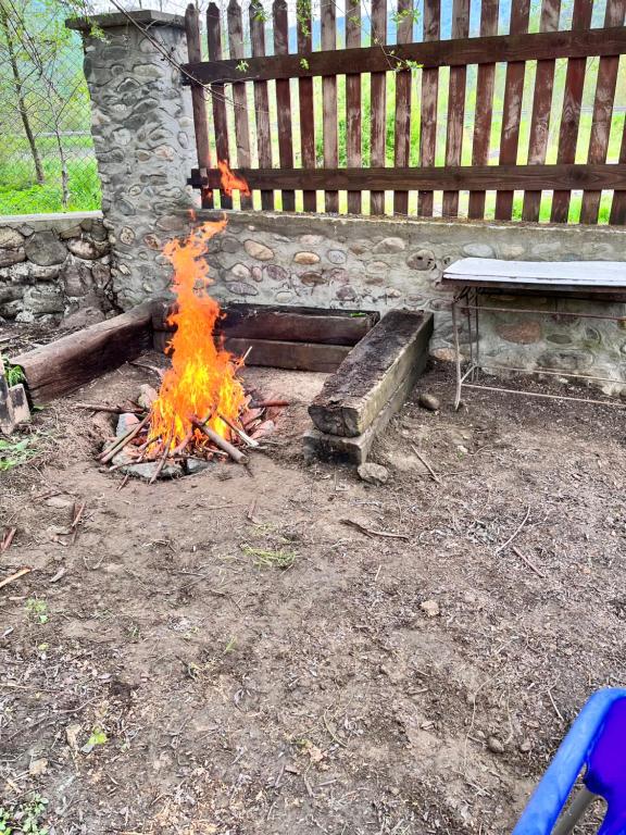 a fire in front of a bench next to a bench at La Grădina in Mehadia