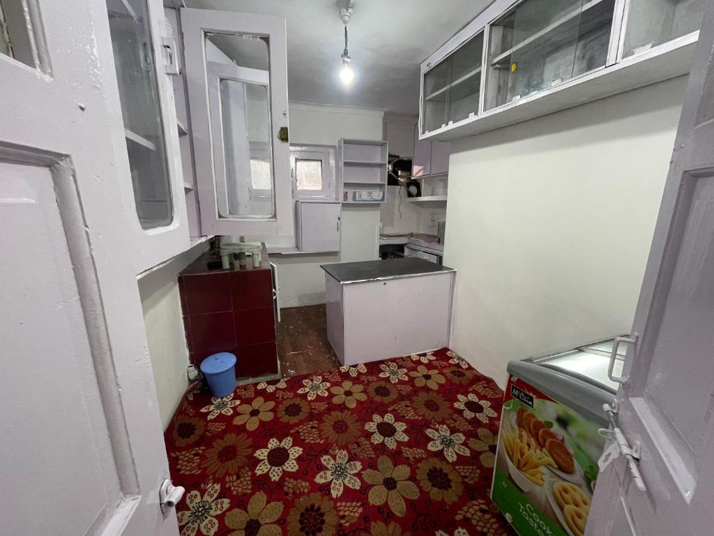 a small kitchen with a sink and a red rug at Al Hassan in Srinagar