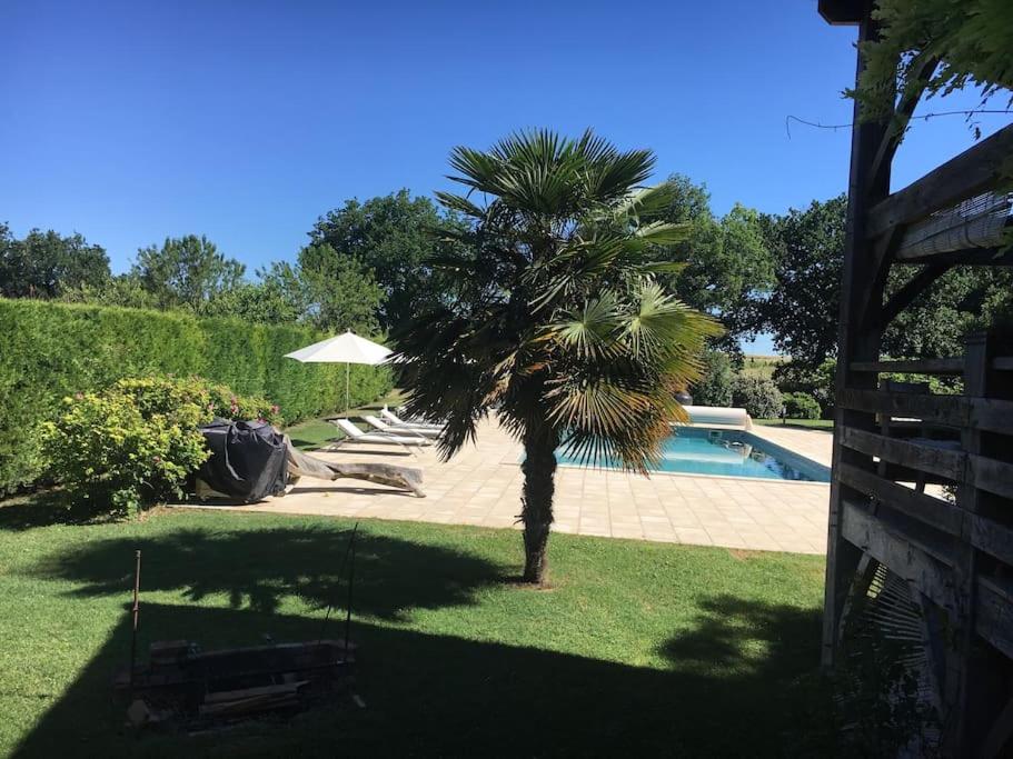 a palm tree in a yard next to a swimming pool at Demeure de Charme La Source in Cestayrols