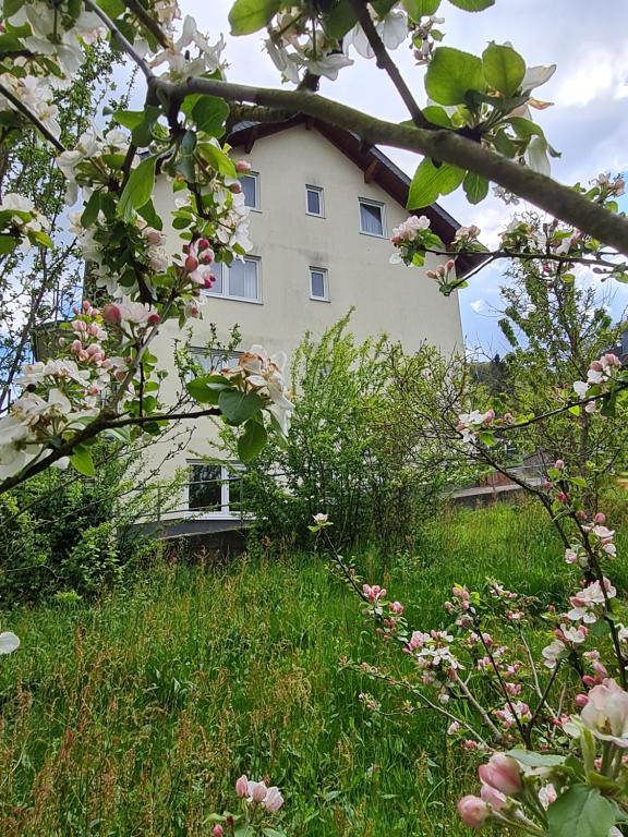 Ferienhaus Am Reilsbach - 8