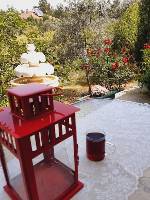 Fotografie z fotogalerie ubytování Gizli bir Cennet (A Hidden Paradise) v destinaci Antalya
