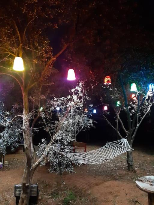 Fotografie z fotogalerie ubytování Gizli bir Cennet (A Hidden Paradise) v destinaci Antalya