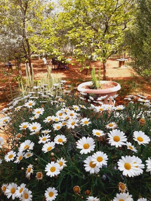 Fotografie z fotogalerie ubytování Gizli bir Cennet (A Hidden Paradise) v destinaci Antalya