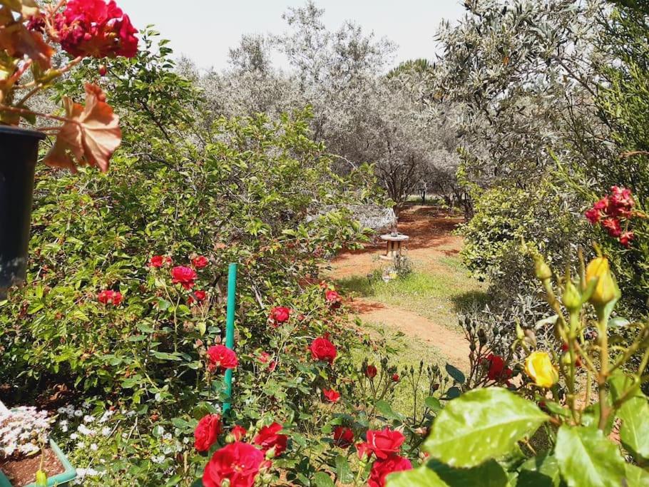 Fotografie z fotogalerie ubytování Gizli bir Cennet (A Hidden Paradise) v destinaci Antalya