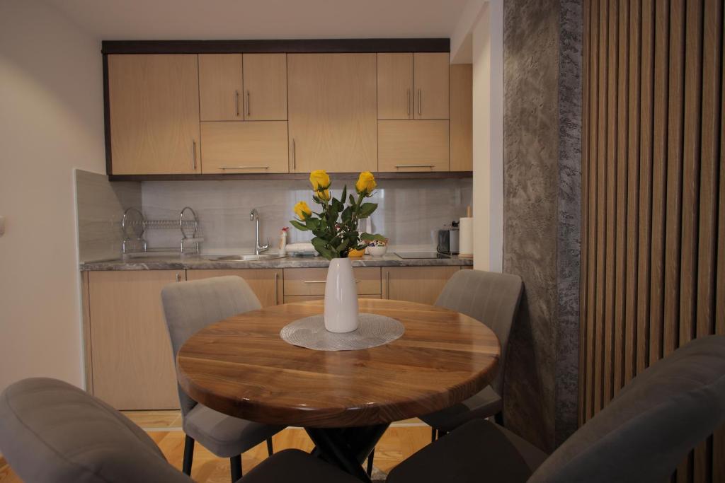 Kuchyň nebo kuchyňský kout v ubytování Apartman Zivic