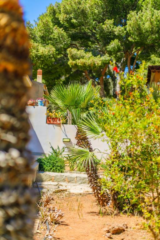a garden with palm trees and other plants at SanVitoTour- Residence Il Baglio in San Vito lo Capo
