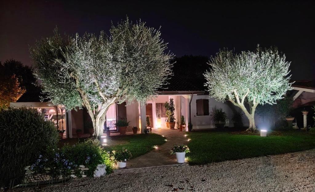 dom z dwoma drzewami w ogrodzie w nocy w obiekcie B&B Flavio e Catia w mieście Marotta