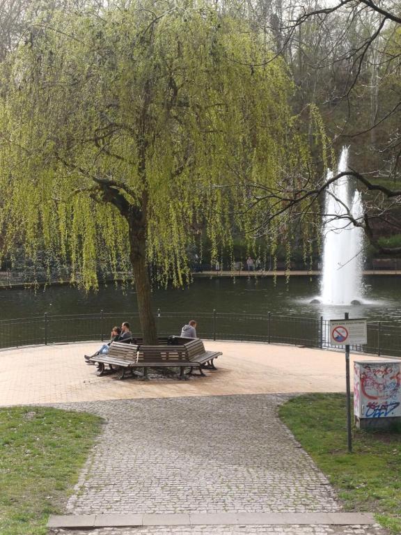 ベルリンにあるPark & City Alexの木の下の公園のベンチに座る人々