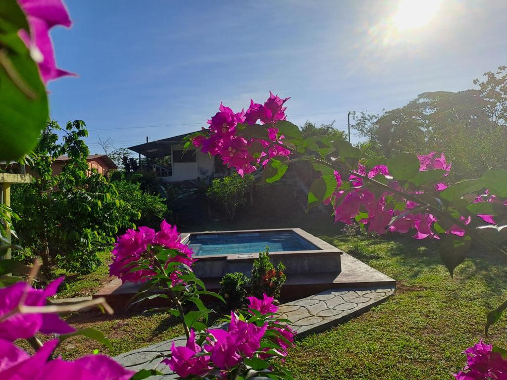 a swimming pool in a yard with pink flowers at Casa para vacacionar Family in Chachagua