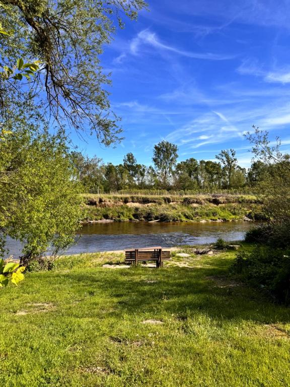 un banc de parc assis dans l'herbe à côté d'une rivière dans l'établissement Garten Apartment am Fluss, à Eriskirch