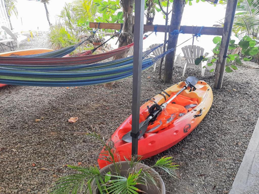 Zahrada ubytování Plézi Location F3 au bord de mer, Trois-Ilets