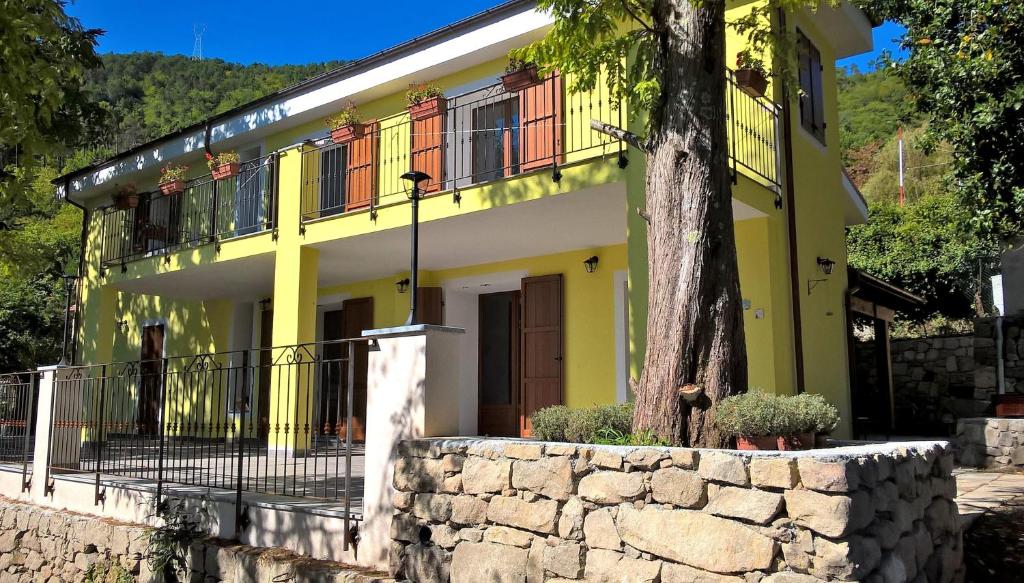 サンレモにあるCa' De Angiolinaの木の前の黄色い家