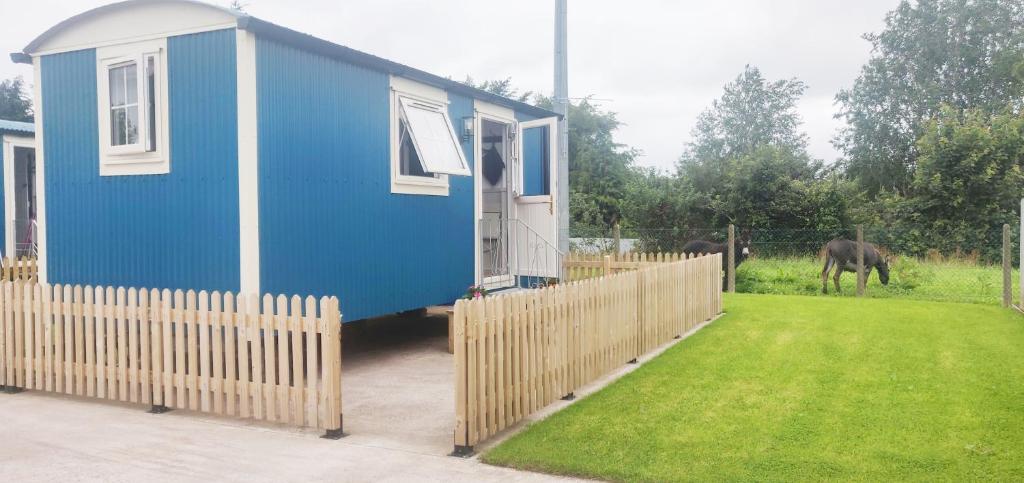 Shepherd Hut Enniskillen Blossom, Fermanagh في إنيسكيلين: بيت ازرق فيه سياج وحصان في ميدان