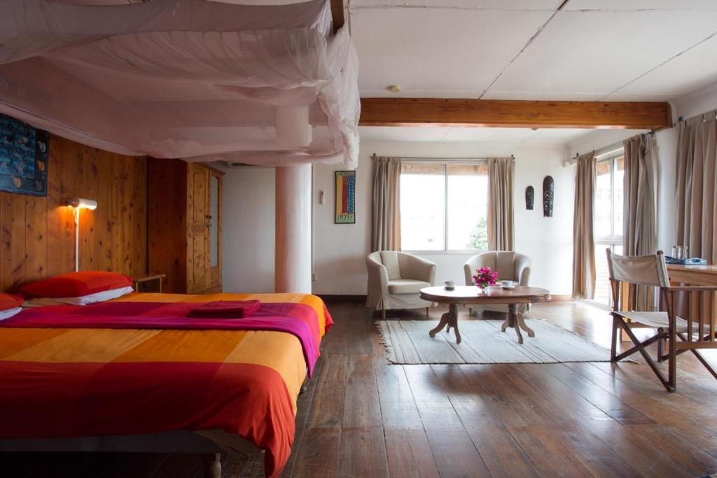 Q-Bar & Guesthouse - Deluxe King Room