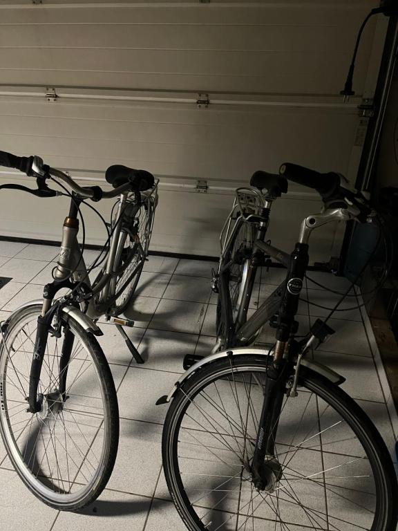 Jízda na kole v ubytování casa matteo de haan Grote straat 152 nebo okolí