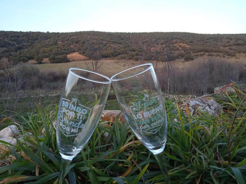 two empty wine glasses sitting in the grass at Mis cuatro estaciones, Casa Boutique in Sotos de Sepúlveda