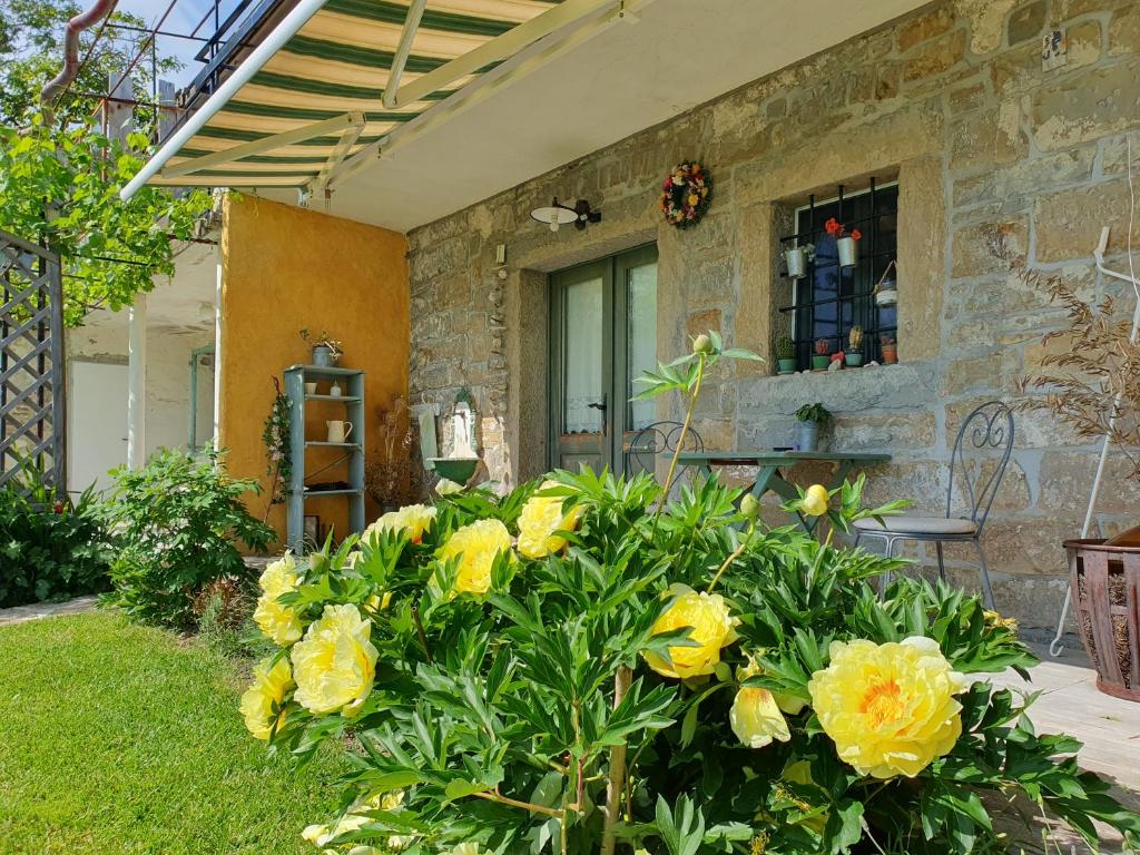 a house with yellow flowers in the front yard at Top relax house in Koper