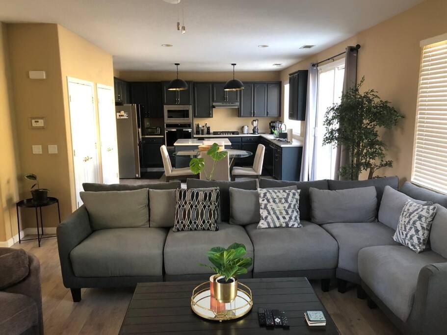 sala de estar con sofá gris y cocina en Quiet 1-Bed and Private Bath - Ideal for Travel Nurse, en Antioch