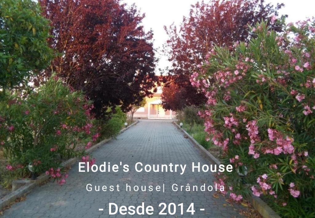 格蘭杜拉的住宿－Elodie's Country House - Alojamento Local，一条在房子前方布满鲜花的鹅卵石街道