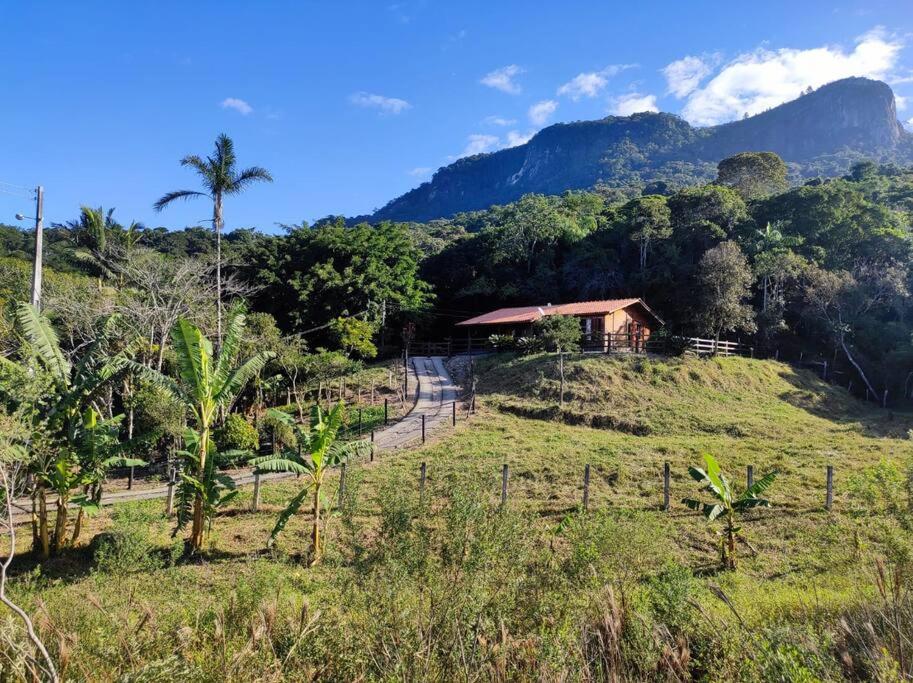 une maison sur une colline dans un champ arboré dans l'établissement Casa de campo na cidade, à São José