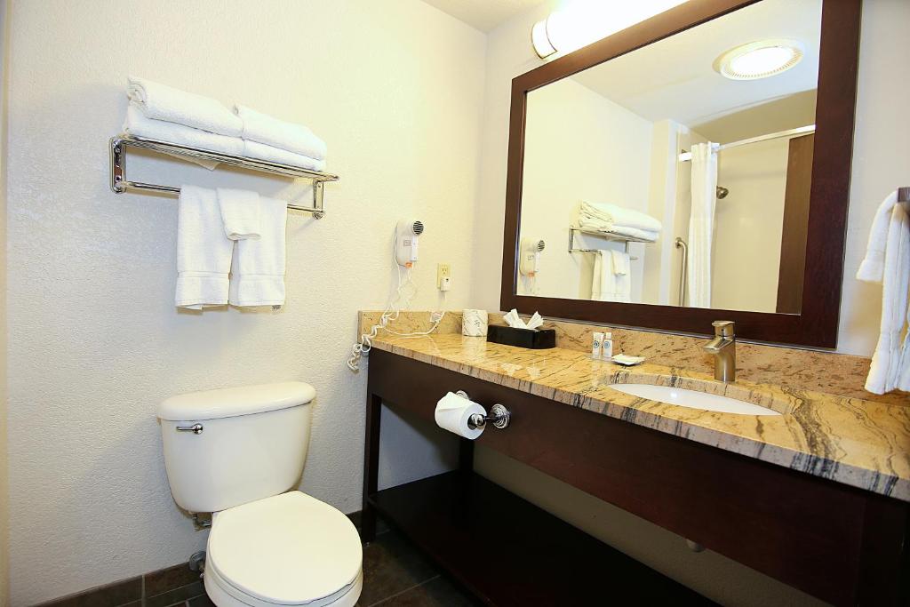 Koupelna v ubytování Comfort Inn & Suites Ashland