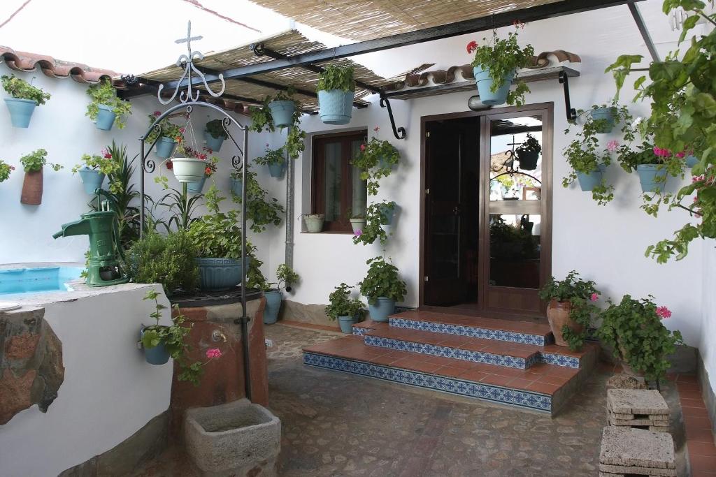 une porte d'entrée d'une maison avec des plantes en pot dans l'établissement Casa Del Abuelo Martín, à Villaviciosa de Córdoba