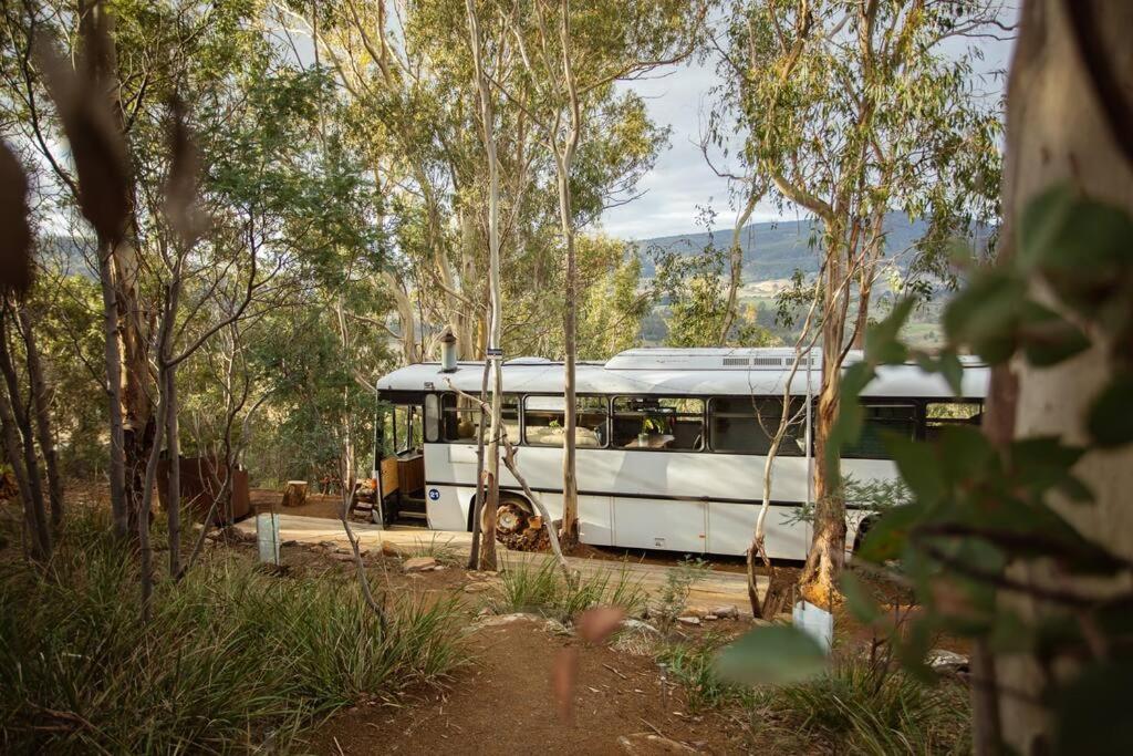 a white bus is parked in the woods at Bus & Hot Tub Secluded Eco Forest Retreat in Bagdad