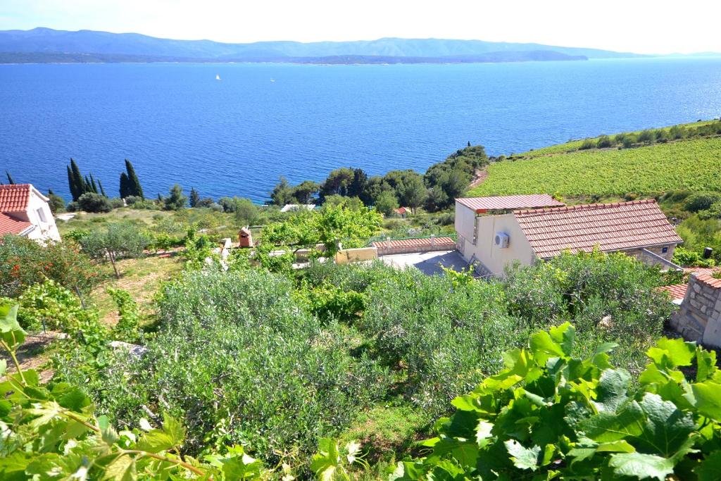 a house on a hill next to a large body of water at Apartments with a parking space Murvica, Brac - 22780 in Bol