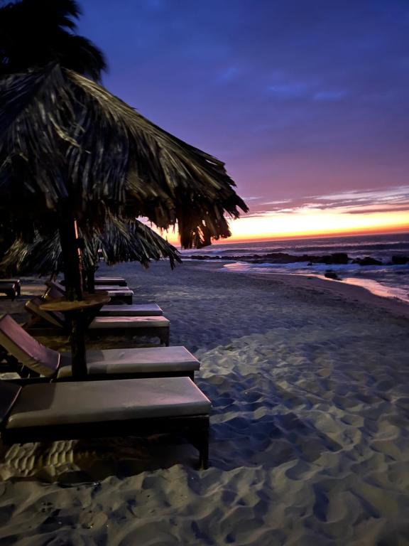 a row of lounge chairs on the beach at sunset at Los Corales in Máncora