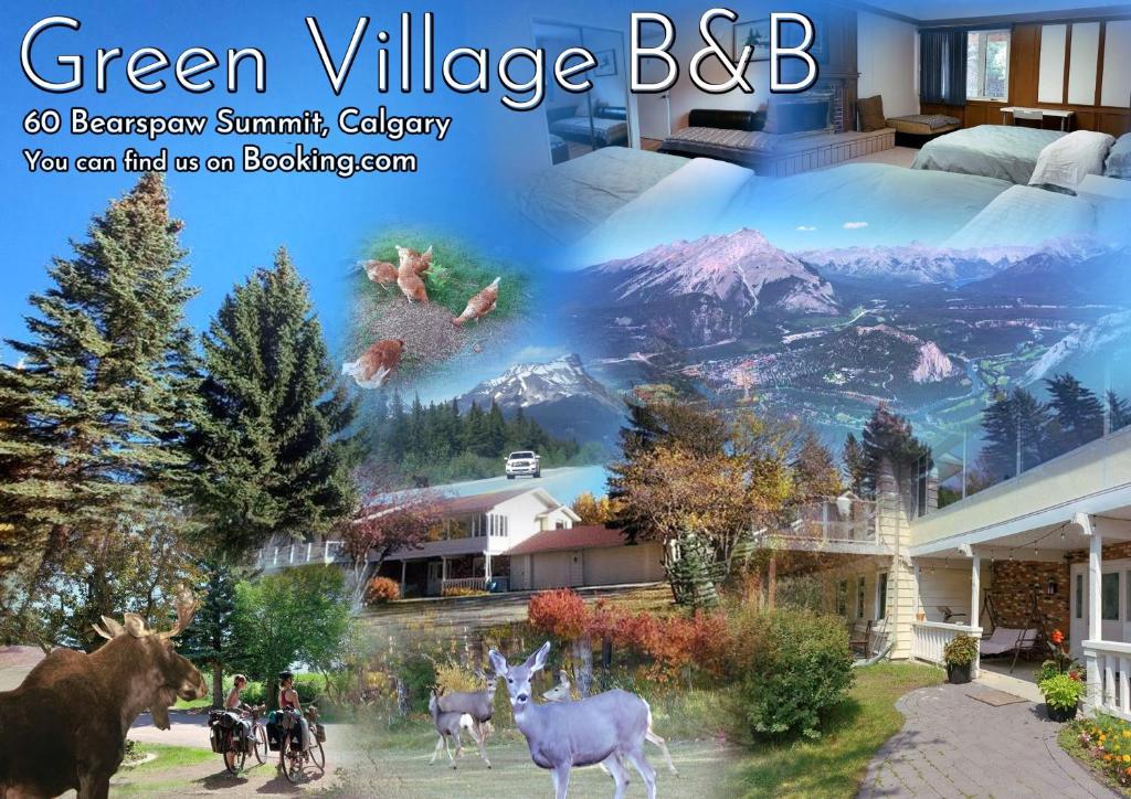 een advertentie voor groen dorp bc met een foto van dieren bij Green Village B&B in Calgary