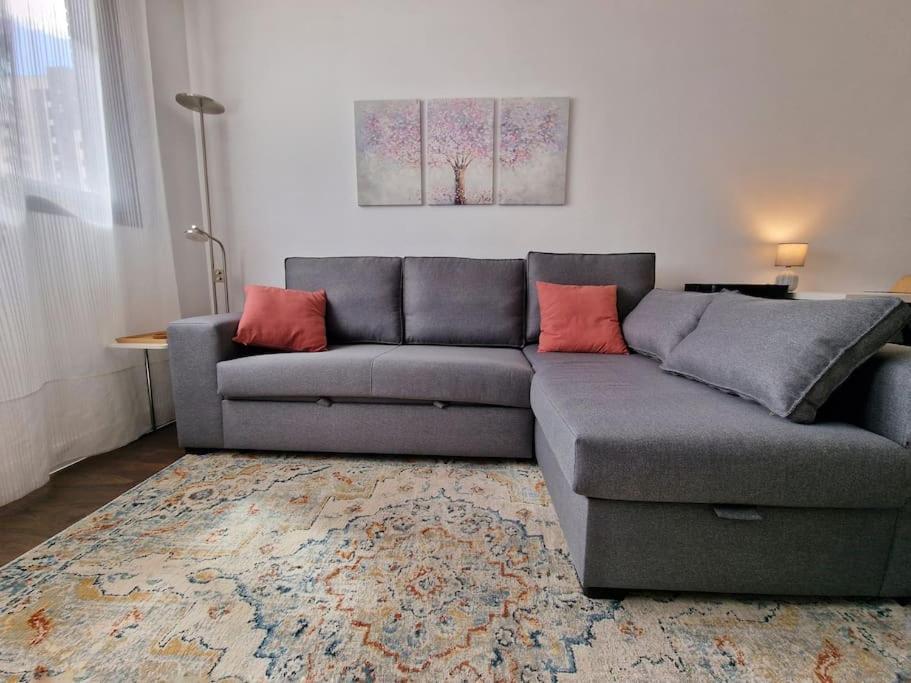 sala de estar con sofá gris y almohadas rojas en Valdebebas con piscina, gimnasio y garaje en Madrid