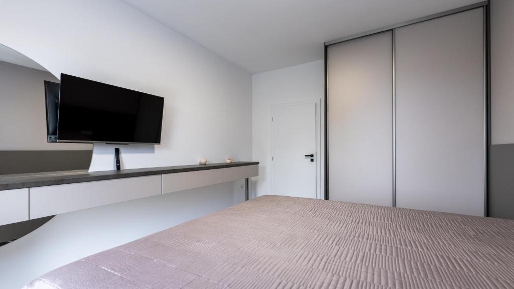 TV a/nebo společenská místnost v ubytování AV apart hotel