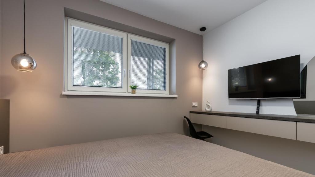 TV a/nebo společenská místnost v ubytování AV apart hotel