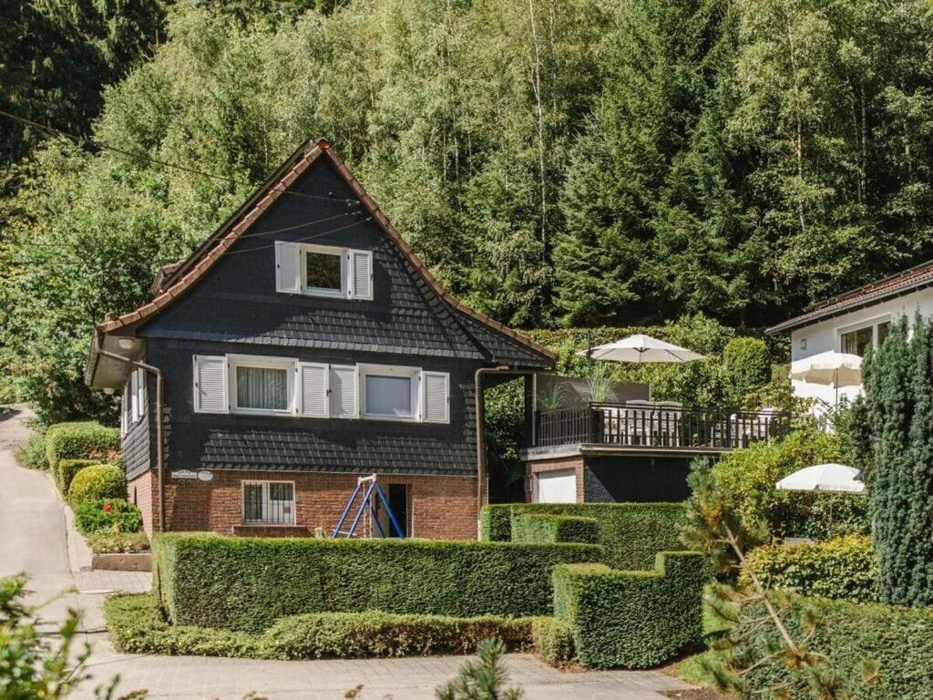 een huis met een zwart dak en wat struiken bij Panorama Modern retreat in Eslohe