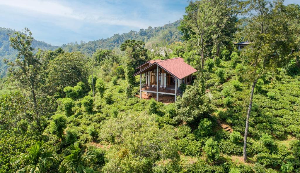 eine Luftansicht eines Hauses inmitten eines Waldes in der Unterkunft Tea Forest Eco Lodge in Kandy