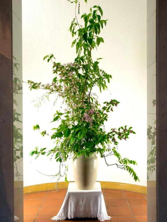 Photo de la galerie de l'établissement KKR Yuzawa Yukiguni, à Yuzawa