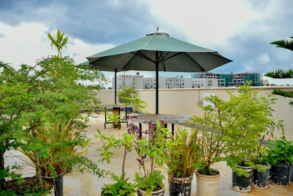 Zahrada ubytování Cozy Studio With A Rooftop Pool in Nairobi-JoJo Homes