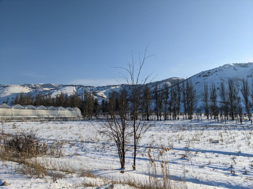 Baybulaq under vintern
