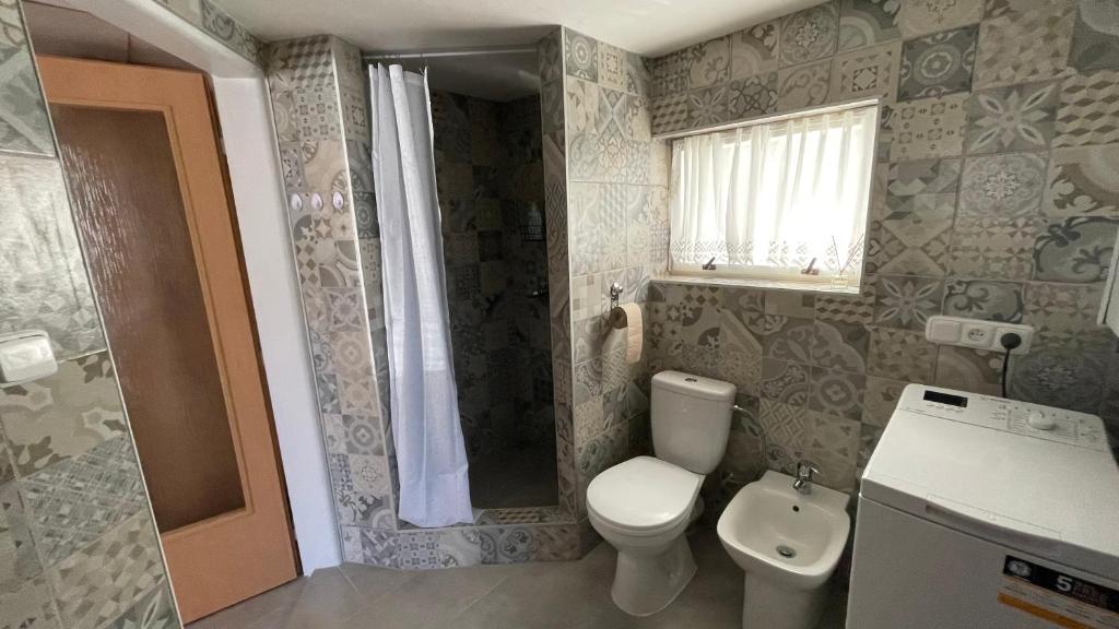 a small bathroom with a toilet and a shower at Guesthouse Trnčín in Mladá Boleslav