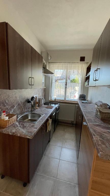 a kitchen with a sink and a counter top at Guesthouse Trnčín in Mladá Boleslav