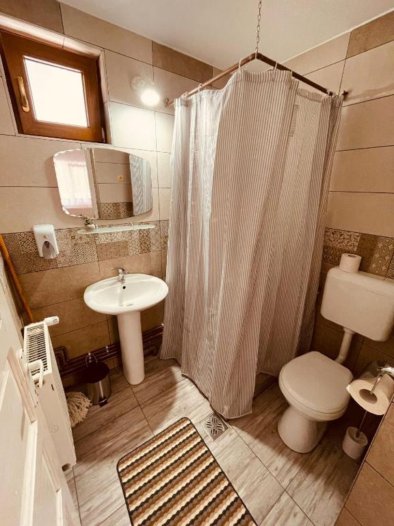 Koupelna v ubytování Pensiunea Alszegi Panzió