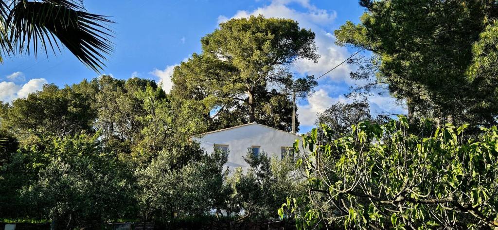 una casa blanca en medio de árboles en Bastidon indépendant, en Cuers