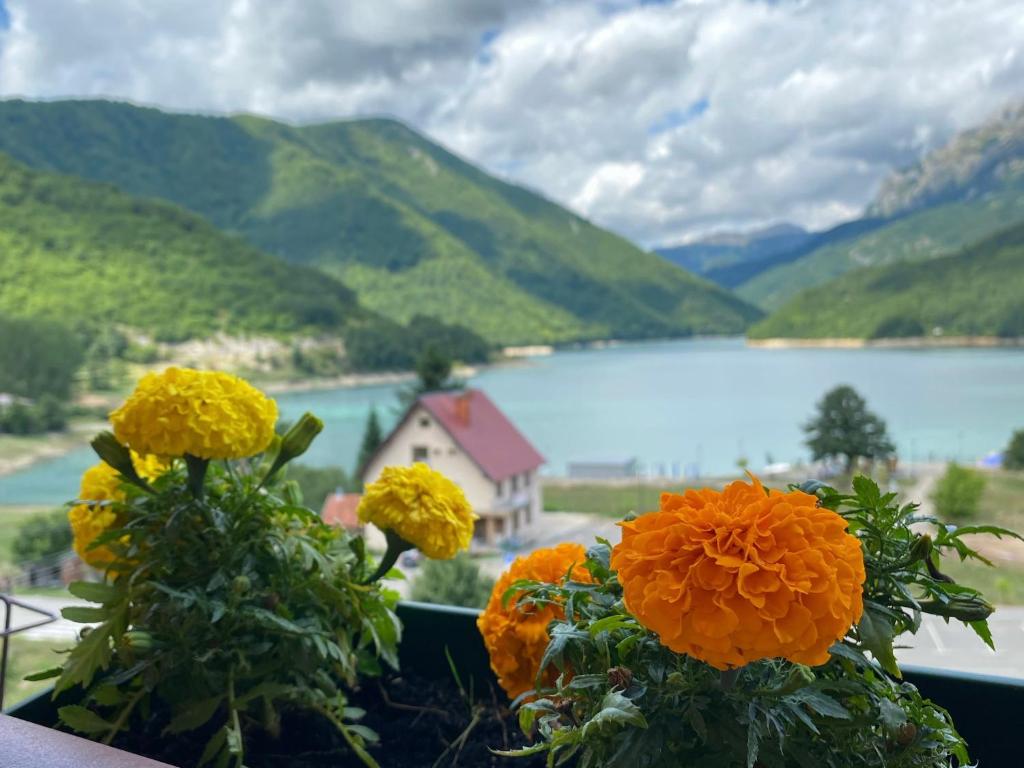 two flowers on a window sill with a view of a lake at Apartment LAKEVIEW in Pluzine