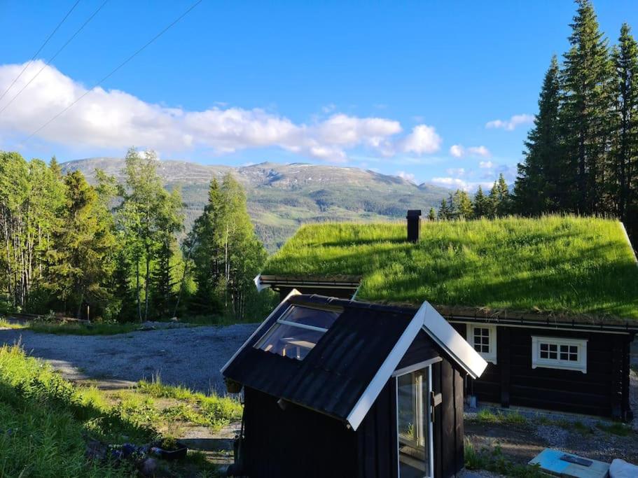 un edificio con techo de hierba y ventana en Flott fjellhytte ned fantastisk utsikt., 